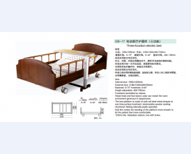 DB-17电动医疗护理床(三功能)